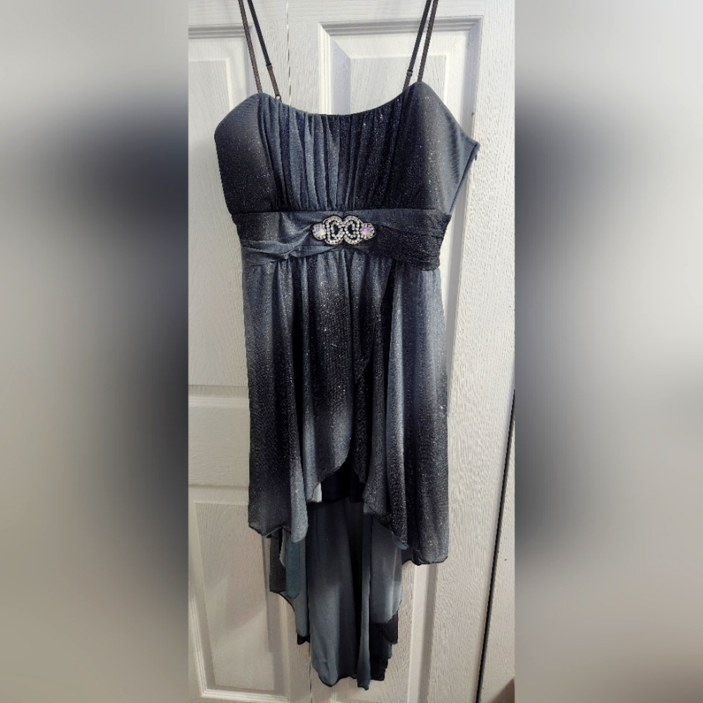 Sparkly Gray Dress